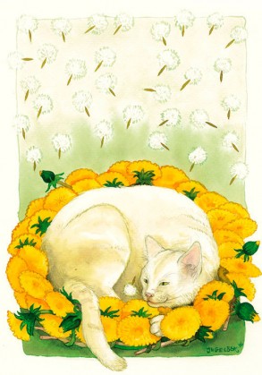 Postcard number 104