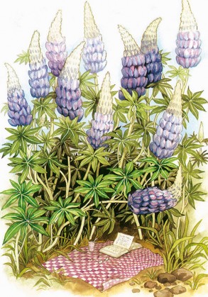 Postcard number 108