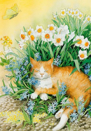 Postcard number 113
